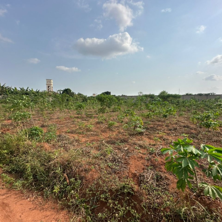 Quatre Parcelles à vendre à Abomey-Calavi Zopah Cité Air Afrique (2)