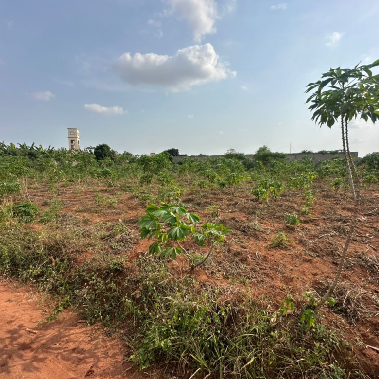 Quatre Parcelles à vendre à Abomey-Calavi Zopah Cité Air Afrique
