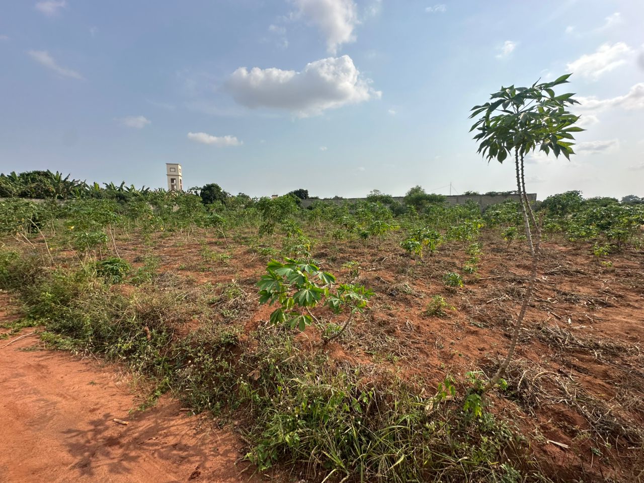 Quatre Parcelles à vendre à Abomey-Calavi Zopah Cité Air Afrique