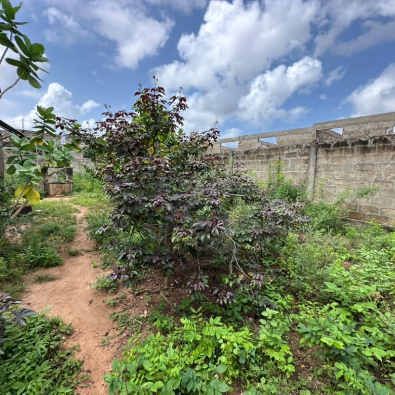Terrain de 1014 m2 à vendre ensemble à Abomey-Calavi Maria Gleta