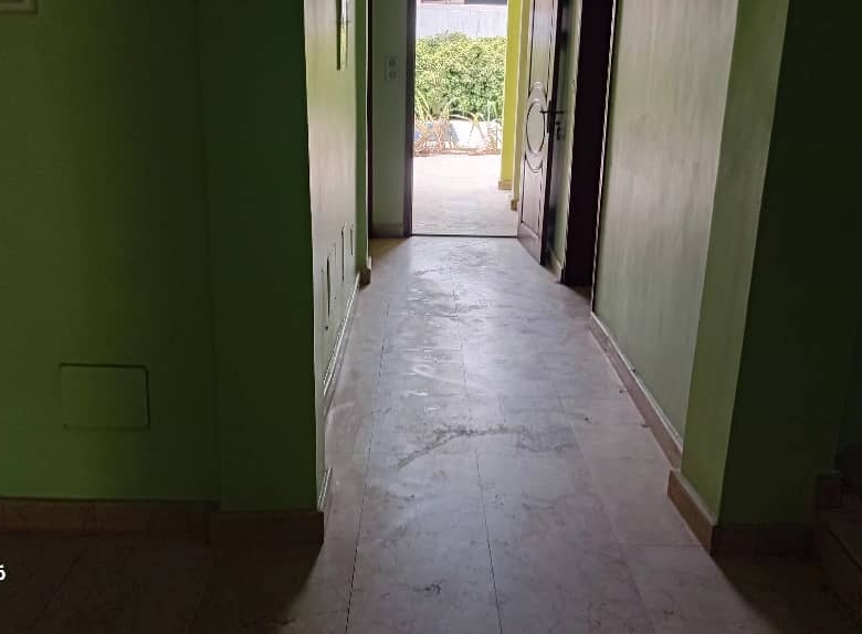IMMEUBLE R+1 à LOUER (13)
