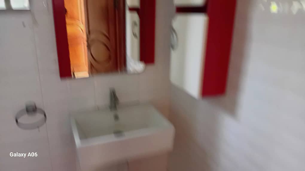 IMMEUBLE R+1 à LOUER (5)