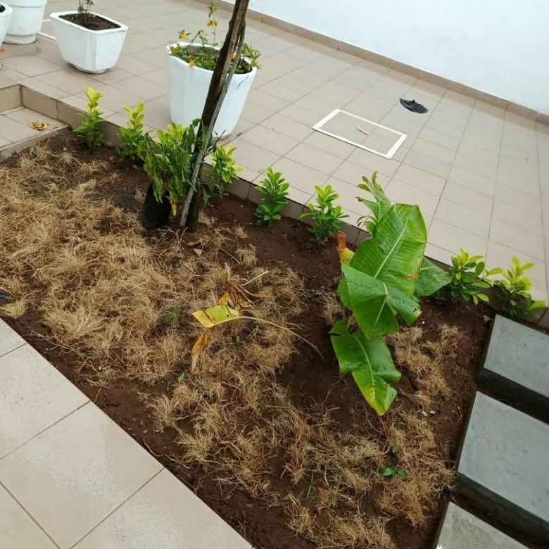 Villa triplex nouvelle construction à louer à Cotonou Fidjrossè