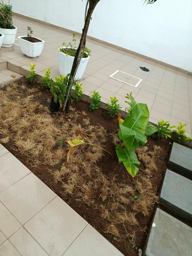 Villa triplex nouvelle construction à louer à Cotonou Fidjrossè